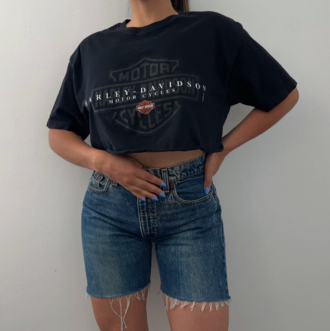 2000 LV Harley Davidson tank