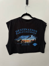 Load image into Gallery viewer, 2008 Harley Davidson tank
