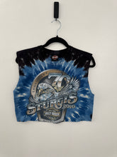 Load image into Gallery viewer, 2010 Sturgis x Harley davidson tank

