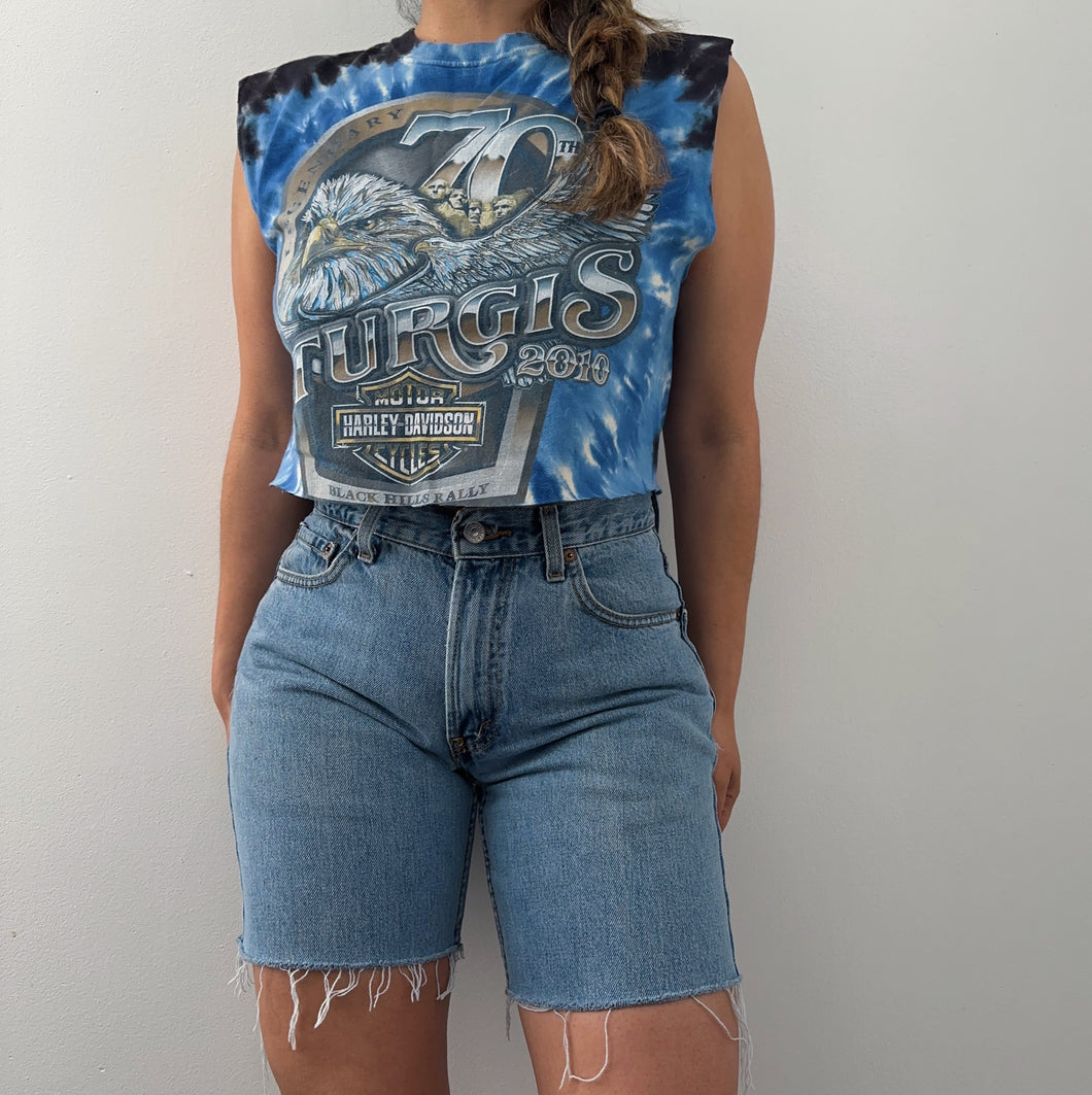 2010 Sturgis x Harley davidson tank